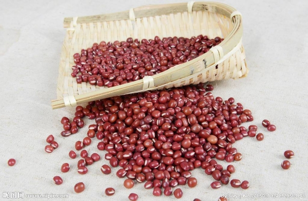 东北红豆农家自产红小豆五谷杂粮批发