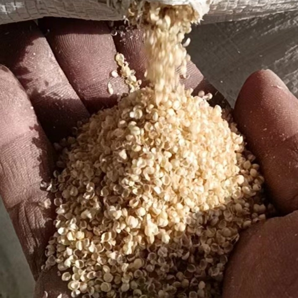 长期大量供应谷壳小米壳枕芯优质填充物