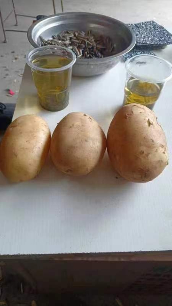 汉中土豆