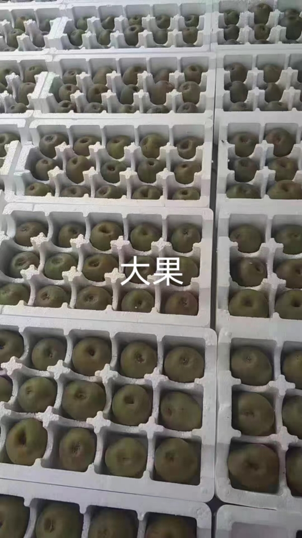 贵州省“凉都”六盘水正宗红心猕猴桃