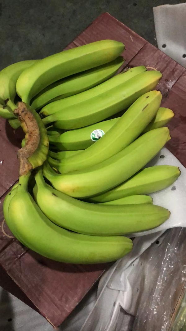 进口香蕉香蕉