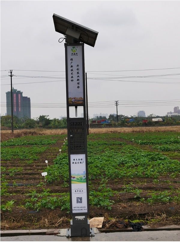 大量供应农用景观太阳能杀虫灯