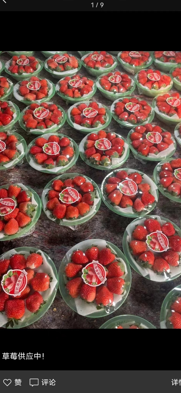 妙香，宁玉草莓大量上市欢迎新老客户光临