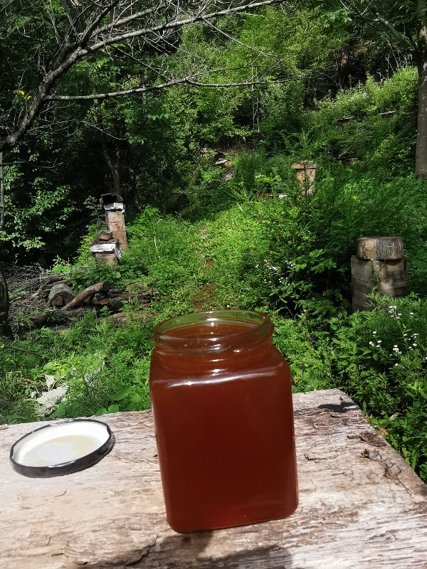 供应陕西秦岭深山土蜂蜜（中蜂蜜）