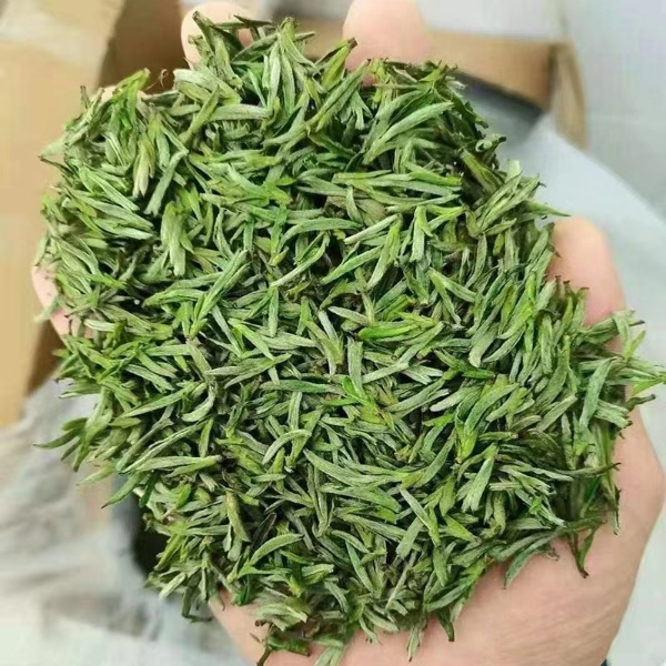 明前头茶黄山毛峰罐装500g