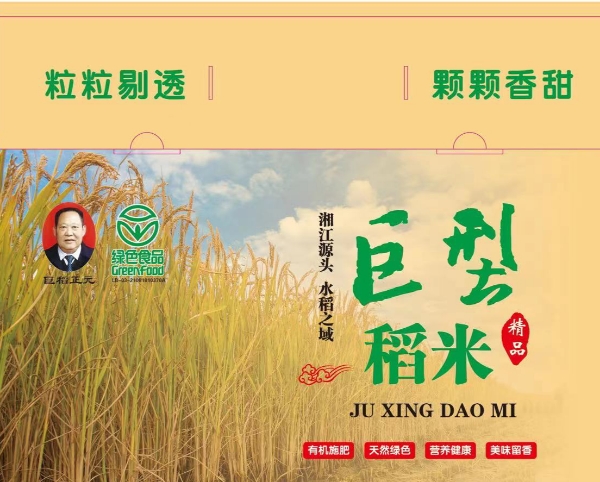 湖南永州，巨型稻，无农药绿色有机粮食。