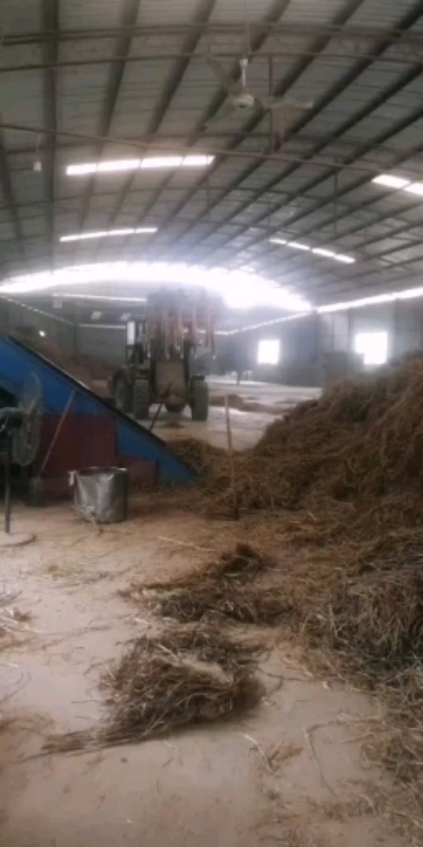 发酵稻草每吨800元
