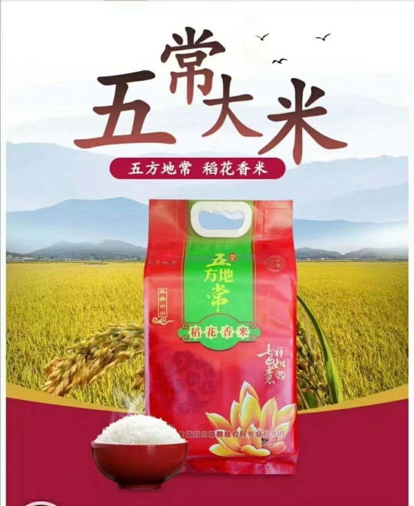 黑龙江五常稻花香大米