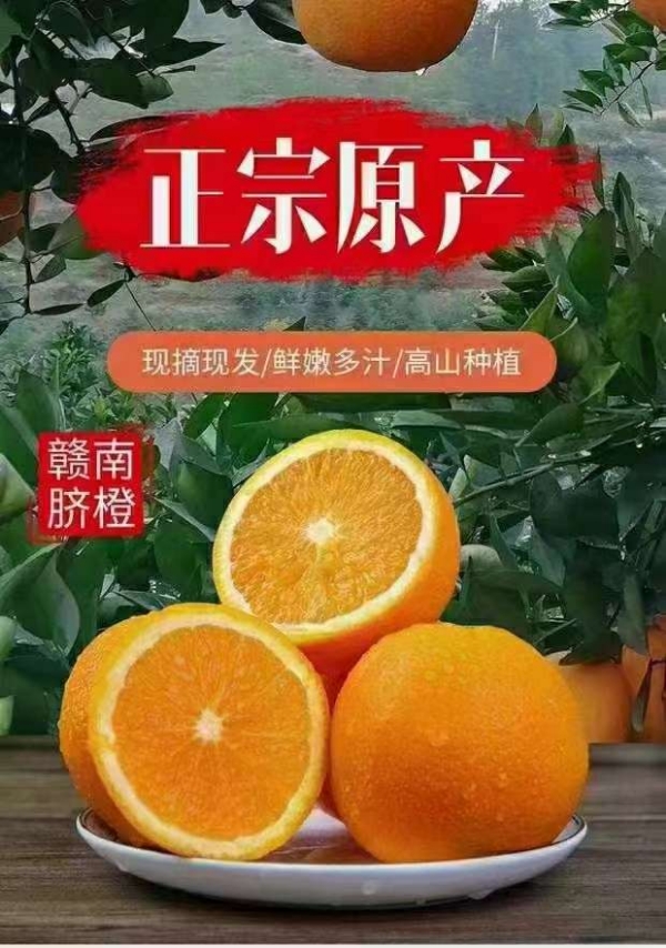 赣南脐橙精品10斤/20斤/箱
