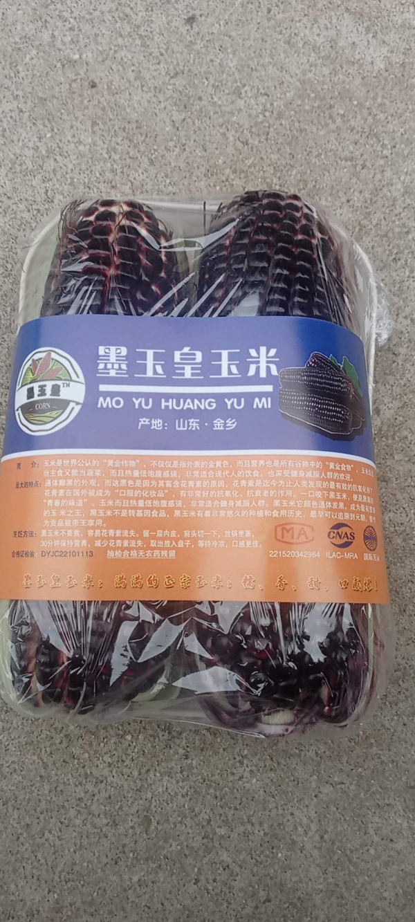 鲜食黑甜糯玉米