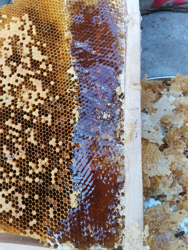 野蜂蜜，有一些上山寻找的蜂蜜和家养蜂蜜，欢迎来订购