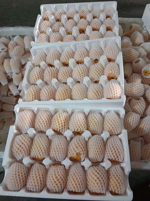 供应蜜桃,四川省会理市代购批发各种农副产品