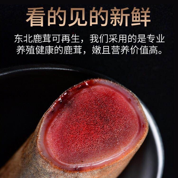 鹿茸 鲜茸 干茸