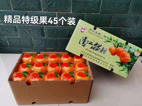 清江椪柑
特级50/箱包邮 如需大量自购2/斤