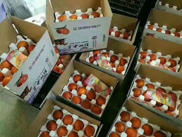 四川省资中县塔罗哥血橙，不知火，批发，代购，零售