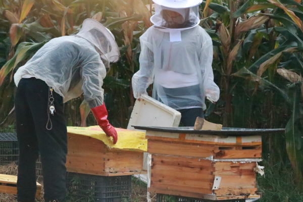 来自贵州深山，自家蜂场的精品土蜂蜜