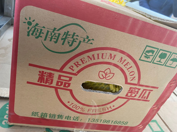 海南哈密瓜批发