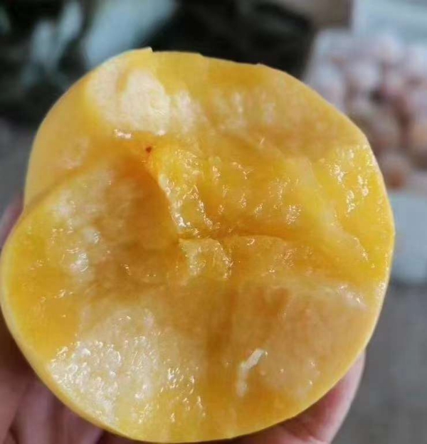 黄油桃大量现货