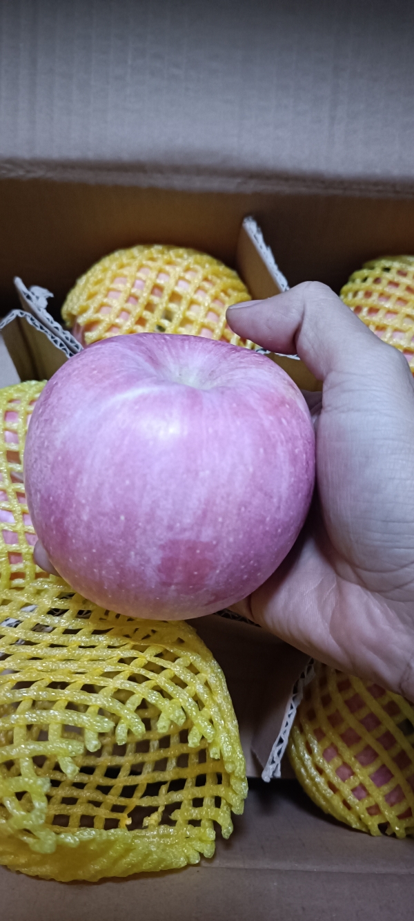 陕西铜川红富士苹果，量大，品质优