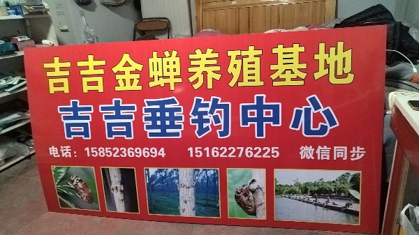 吉吉金蝉养殖
江苏省徐州市贾汪区大吴镇
纯绿色食品
