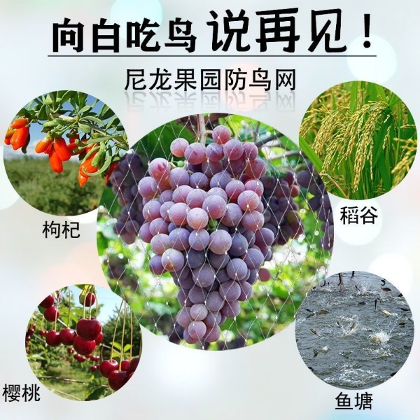 专业生产销售防鸟网，防草布
厂家直销