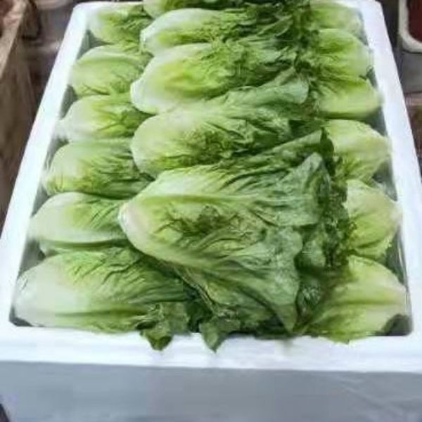 云南蔬菜，生菜，意大利生菜，产地发货，一手货源。