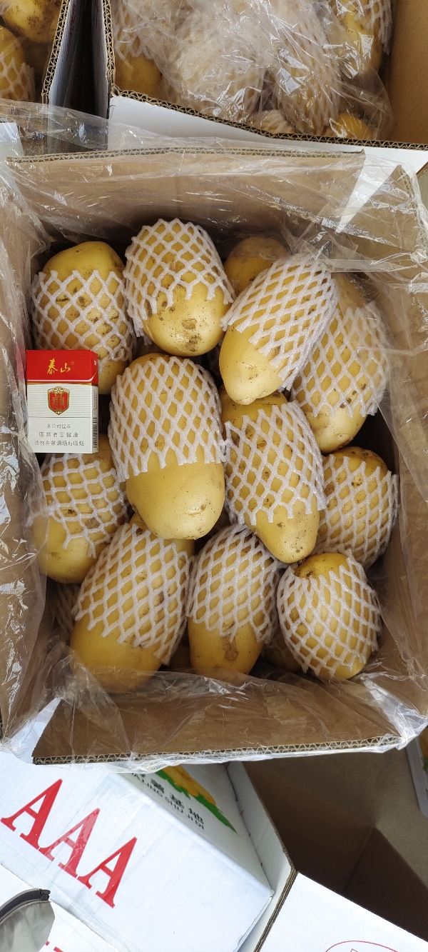 山东土豆，肥城荷兰十五土豆，产地直销全国发货