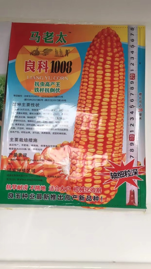 品牌玉米种 厂家正品批发零售