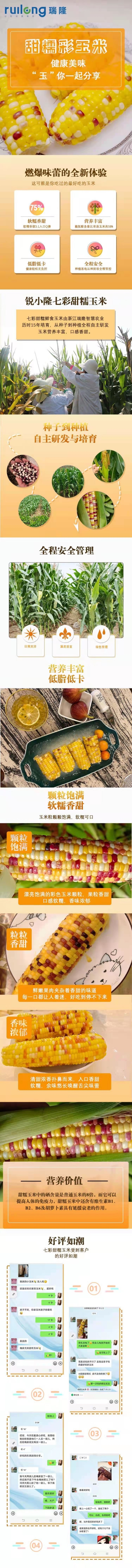 锐小隆I号彩糯玉米。甜糯黄金比例。6月中旬上市！