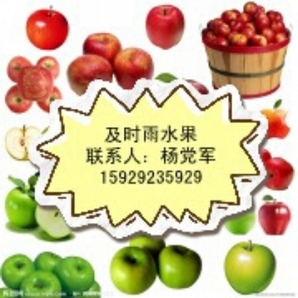 陕西红富士苹果洛川红富士苹果红富士苹果产地批发价格