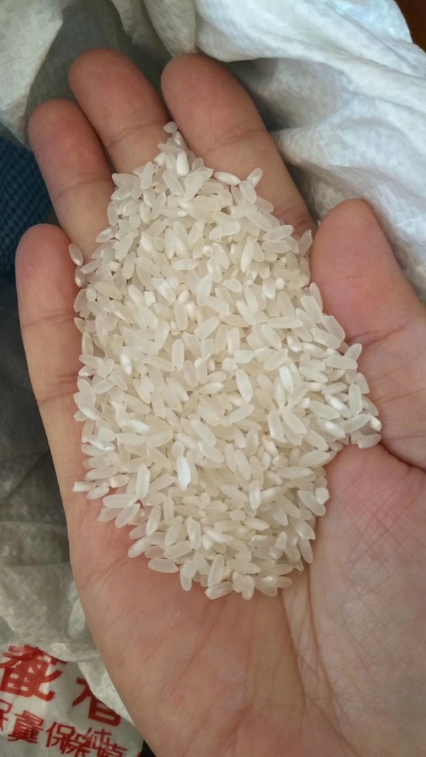 哈尔滨市五常稻花香二号大米
原厂地发货，可现场加工