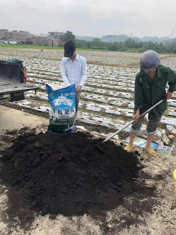 内蒙古生物有机肥