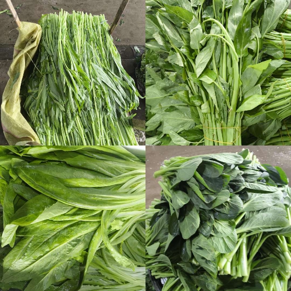 漳州青菜水叶菜批发，欢迎咨询，一斤也是批发价!