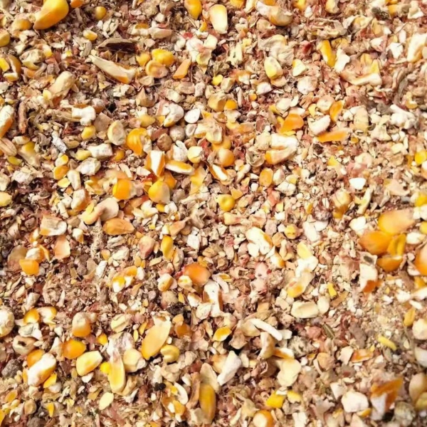 毛粮碎玉米，适合鸡鸭鹅养殖户使用，降低养殖成本