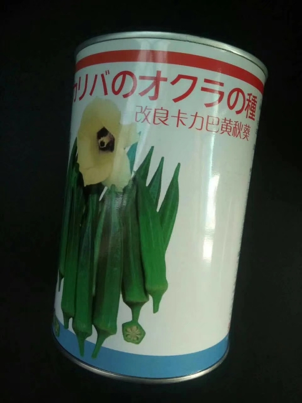 日本进口卡力巴秋葵种子