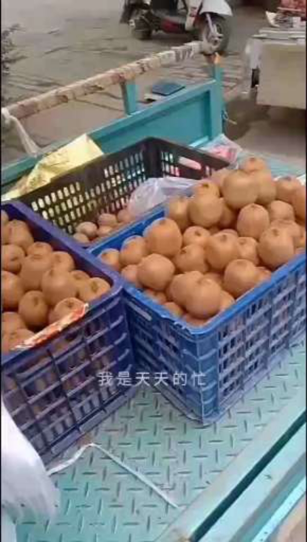 陕西省本人处售猕猴桃亚特绿心果重80克上下，