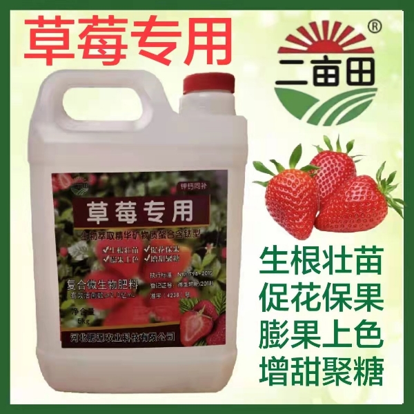 草莓🍓专用肥  生根养根  膨果上色