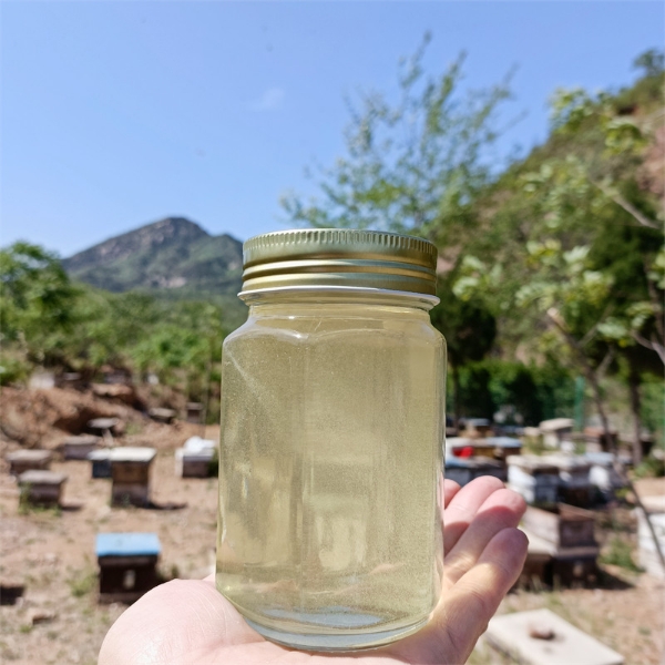 太行山脉革命老区关山花洋槐蜂蜜枣花蜂蜜批发现货