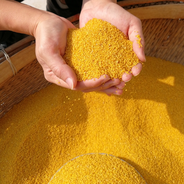 出售自产小米，纯手工豆皮，可做包装